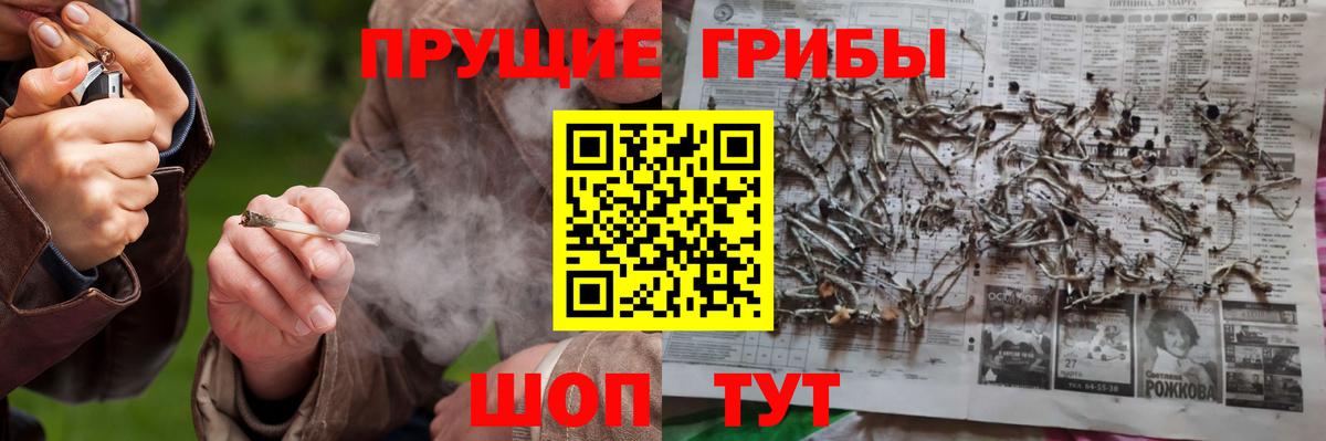 Псилоцибиновые грибы мицелий Якутск