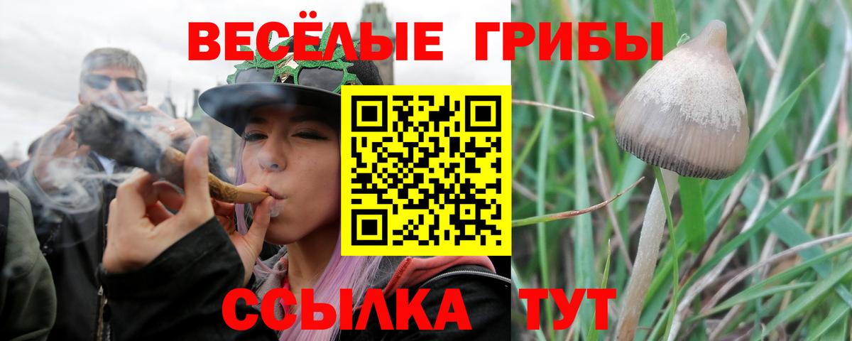 Якутск  Псилоцибиновые грибы GOLDEN TEACHER  Псилоцибиновые грибы Cubensis  как найти закладки  Вход с VPN 